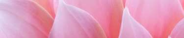 Candy Product Footer