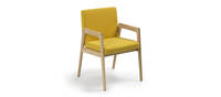 Prose Side Chair - Clear over Ash
