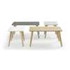 Prose Occasional Tables - Clear over Ash